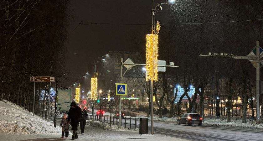 В Вологодской области календарная зима вступила в свои права, но вот погода решила сделать "откат" на полтора месяца назад