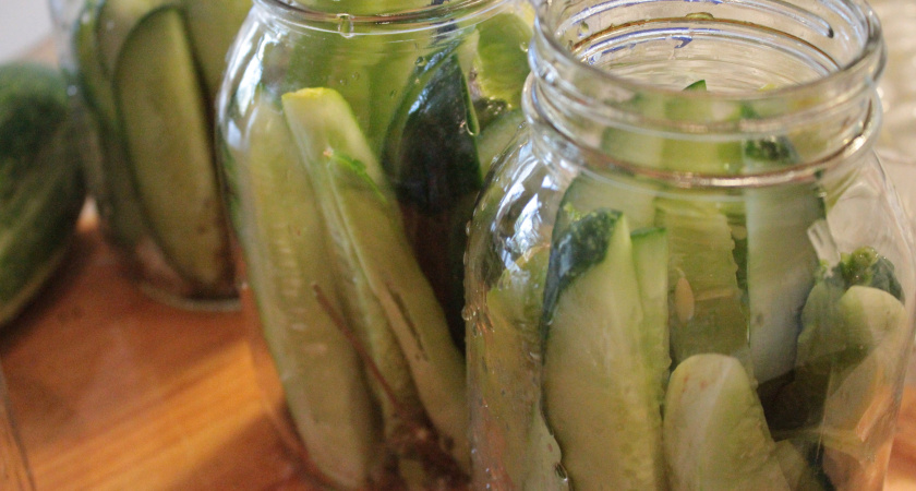 Один куст — ведро огурцов: потрясающий сорт для салатов и закаток, хватит на всю семью и соседей