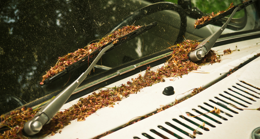 Не меняйте дворники на машине: две минуты – и идеальный прижим к стеклу обеспечен:  простой способ