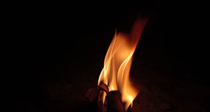 Пожары в вологодских лесах сократились на 88% за год