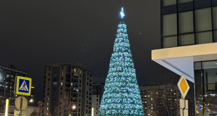 В Вологодской области прогнозируют аномальное тепло 5 декабря