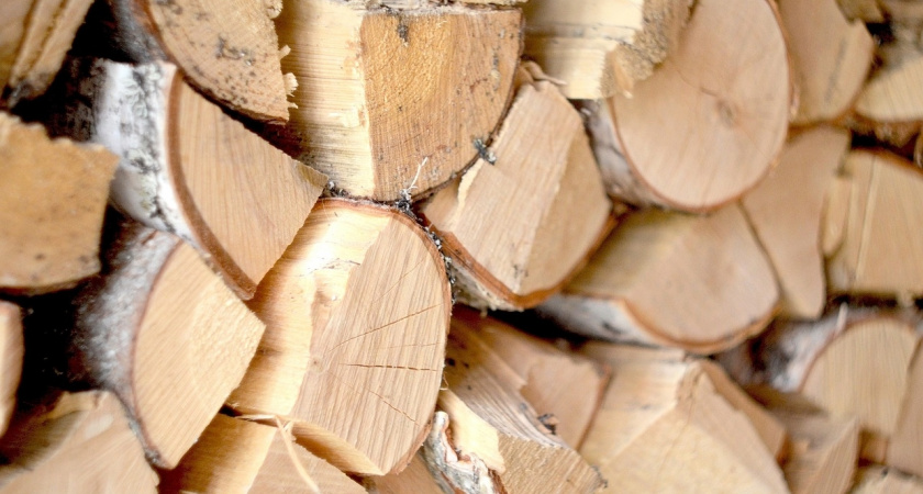 Экспорт леса из Вологодской области за рубеж вырос на 9%