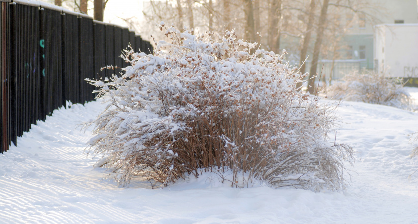 Готовьтесь к резкому и безжалостному обрушению зимы: Вильфанд предупредил о скором завершении теплой погоды в декабре