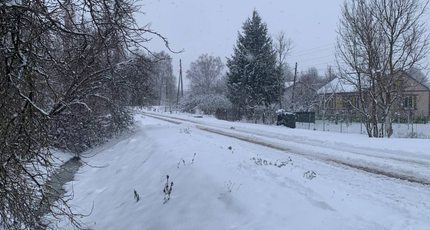 Погода будет нервничать весь декабрь: Вильфанд представил обновлённый прогноз