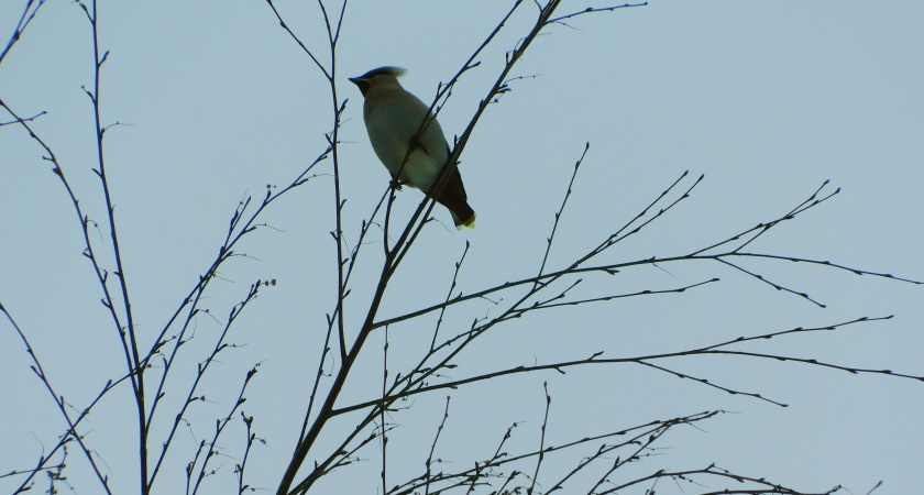 Суровые морозы накроют Вологодскую область