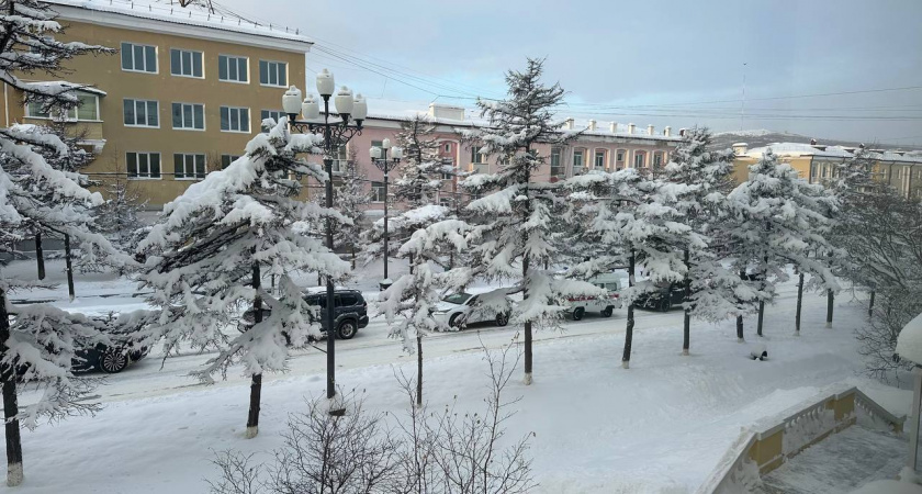 Снега не будет вовсе: Вильфанд разочаровал прогнозом жителей Центральной России