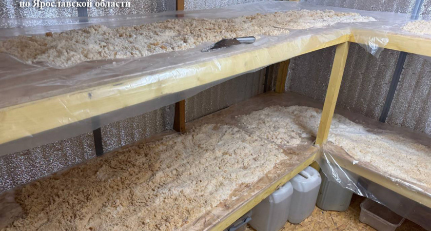 У жителя Вологодской области изъяли 550 килограммов наркотиков и прекурсоров