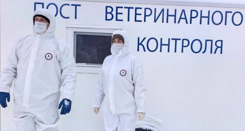 В Вологодской области провели серию учений по борьбе с болезнями животных