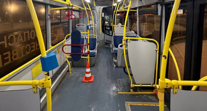 В Вологодской области после резкого торможения автобуса пострадала пассажирка