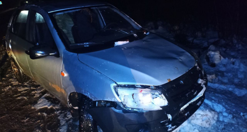 Водитель на "Гранте" сбил лося и улетел в кювет под Вологдой