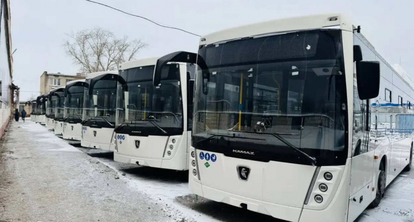 В Вологодской области завершили обновление автобусного парка по плану 2025 года
