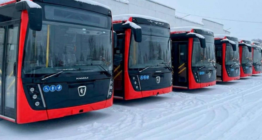 В Вологду поступила заключительная партия новых автобусов