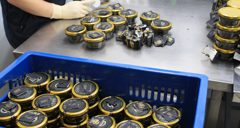 Вологодская осетровая икра отправилась в Монголию и Индию