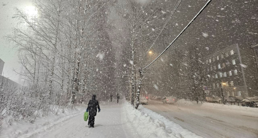Нечто хуже мороза: тревожный прогноз синоптиков на первые дни новогодних праздников. «К такому мало кто готов»