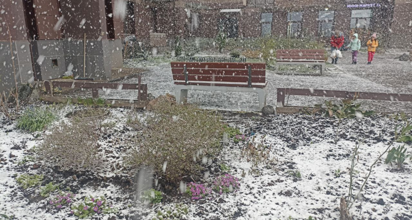 Снега не будет вовсе: Роман Вильфанд расстроил прогнозом жителей Центральной России