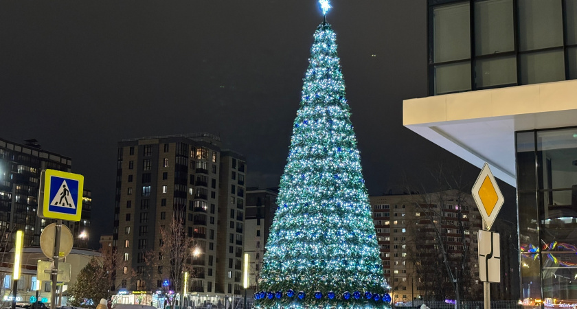 Главная ёлка Вологды засияет огнями уже 27 декабря