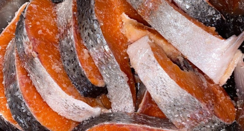 В Вологодской области стартовал сбор форели