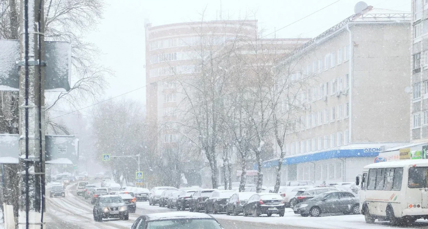 28 декабря в Вологодской области прогнозируется умеренный снег, гололёд и стабильная гидрологическая обстановка