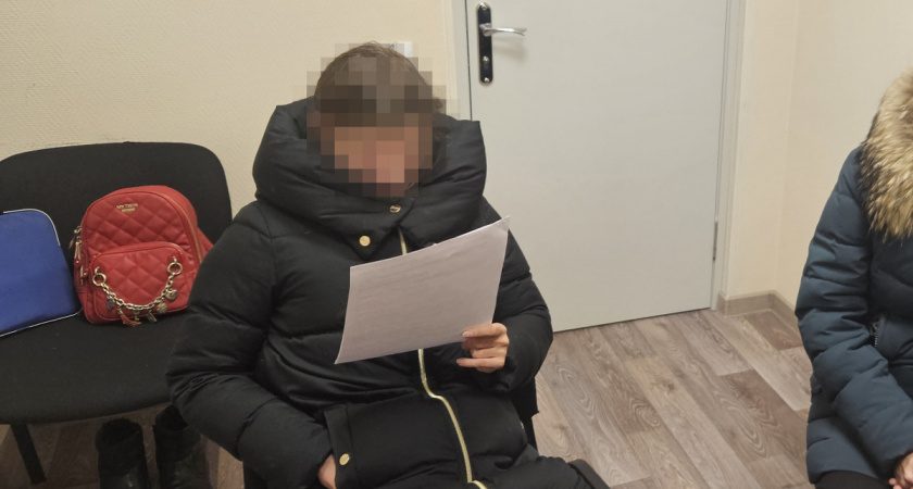 Вологжанка получила 13 лет за госизмену