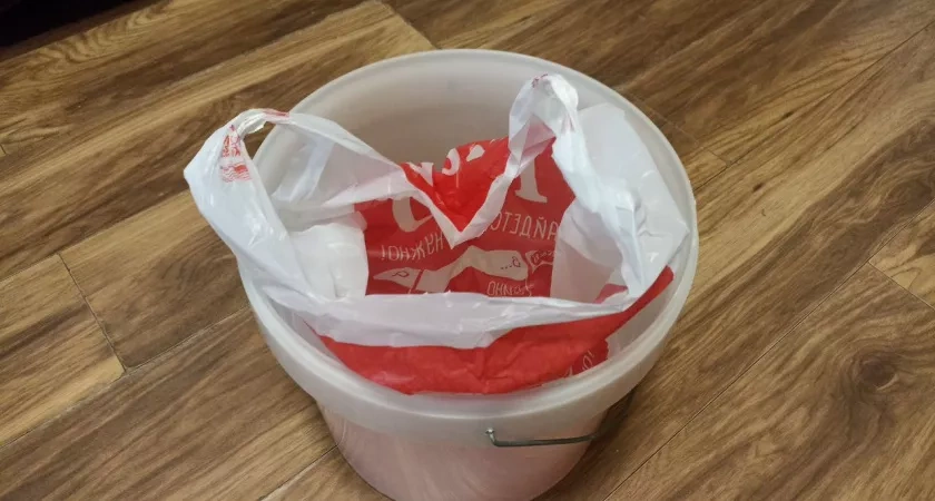 Простой пакет из супермаркета в мусорном ведре вместо мешка - дорога к бедности: в чём соль этой мудрости