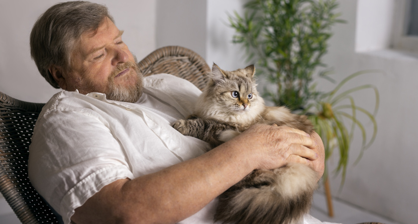 Почему кошка идёт к тем, кто её не любит: что пугает её в «добрых» людях