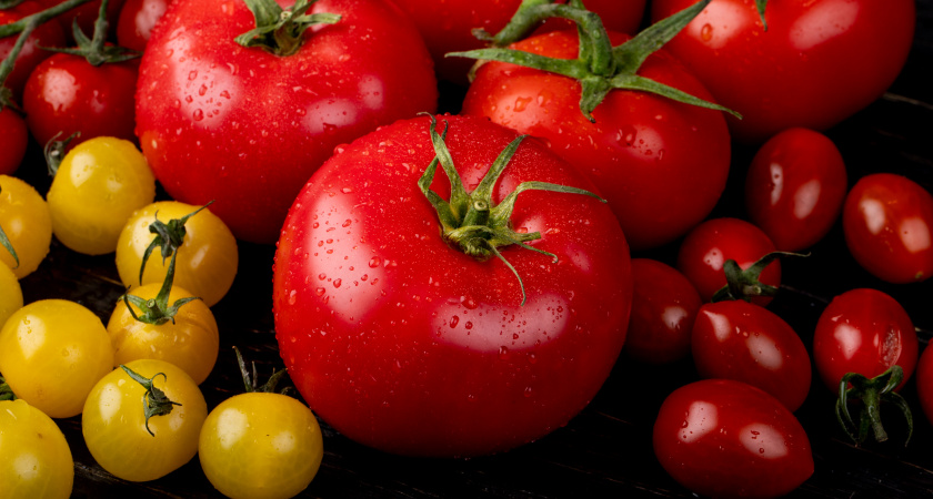 Только эти помидоры посажу в этом году: томаты-работяги, урожайные, плодоносят, не болеют, по 100 кг с куста