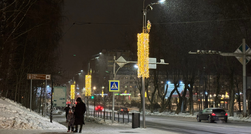 Морозы до –25 градусов ожидаются в Вологодской области 2 января