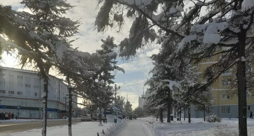 Роман Вильфанд о погоде в январе-2026 в России: где ждать оттепели, а где — крещенские морозы