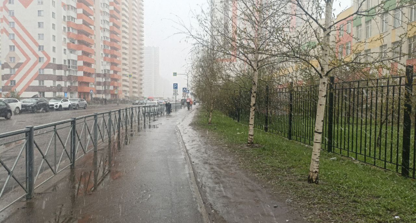 Снега не будет вовсе: Роман Вильфанд расстроил прогнозом жителей Центральной России