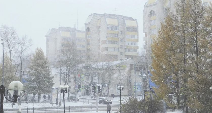 Температура в Вологодской области превысит климатическую норму на 6–8 градусов