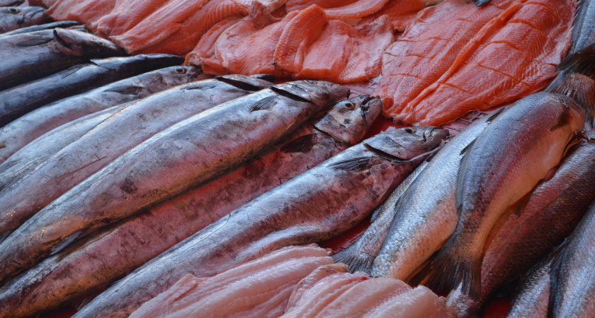 Не семга и не форель: названа самая полезная рыба - стоит копейки, а белка больше, чем в мясе