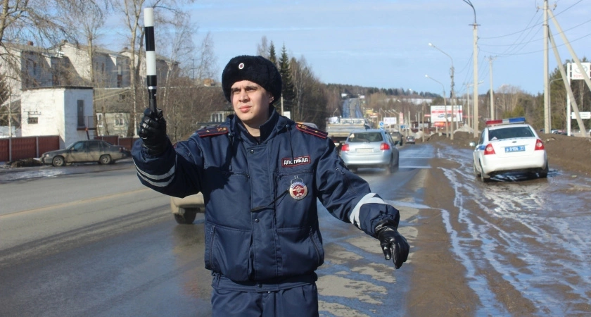 Вот какие автомобили ГИБДД будет обыскивать с 22 по 31 января