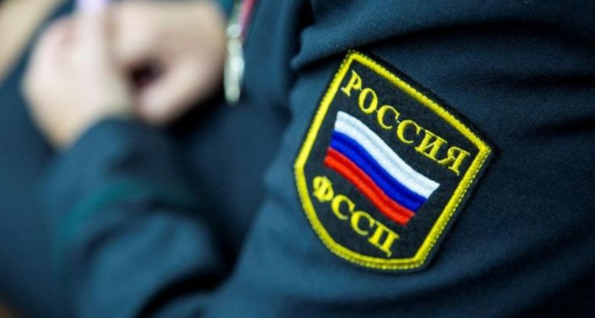 Вологодский алиментщик погасил более миллиона рублей после ареста доли в бизнесе