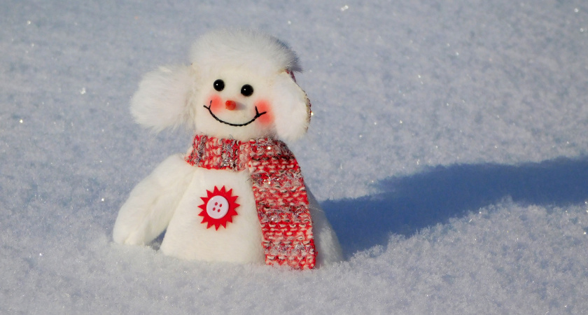 МЧС и Роспотребнадзор напомнили вологжанам, как избежать обморожения
