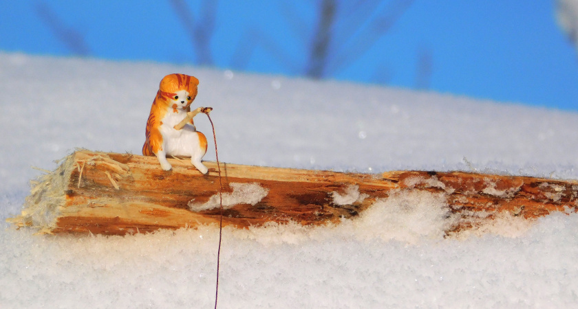 В Вологодской области прогнозируют снегопады и похолодание до -26°C