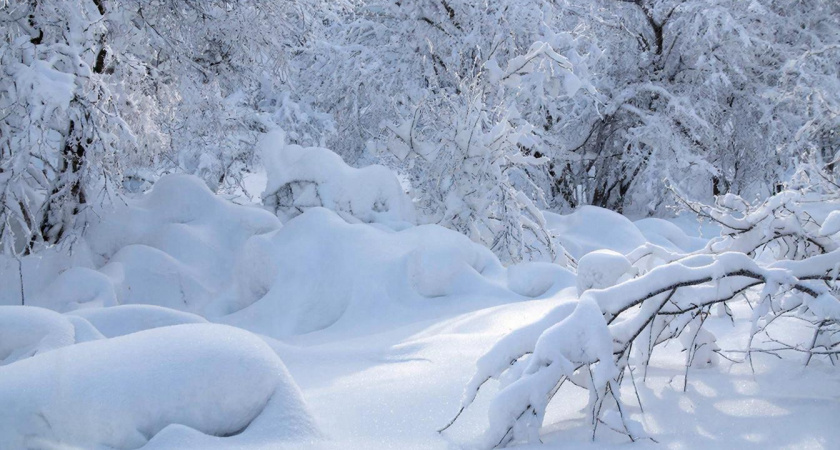 Как почистить снег без лопаты: делюсь двумя простыми способами – быстро, без заморочек и спина не болит