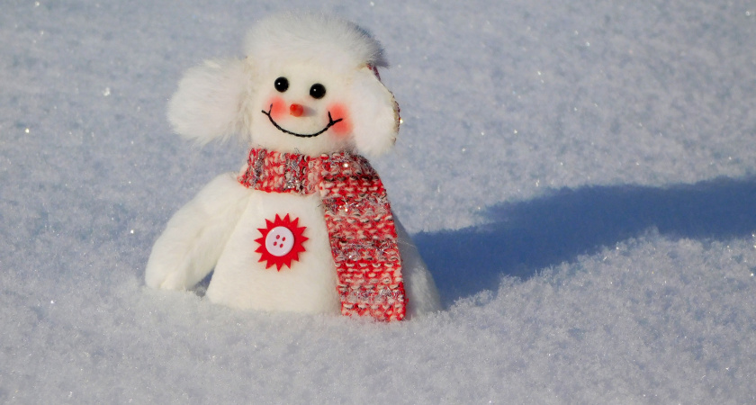 Вологодскую область сковали зимние морозы: прогноз погоды на ближайшие дни