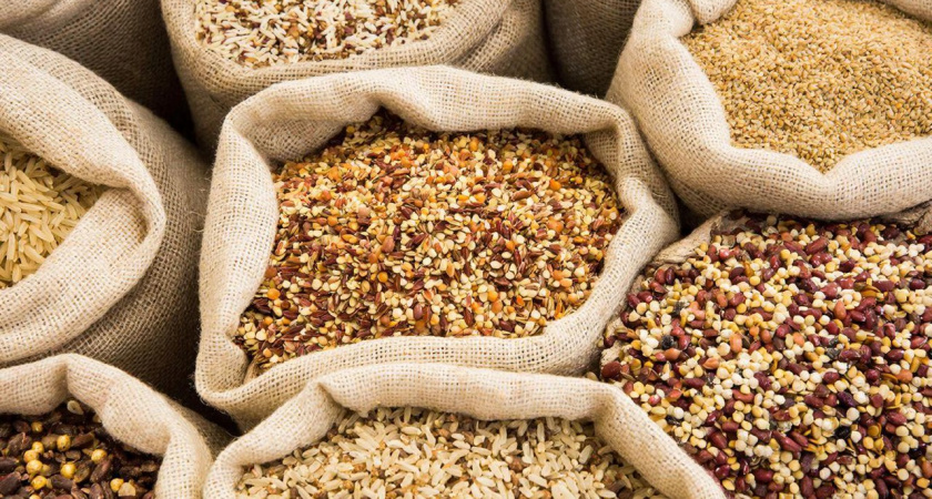 3 крупы из магазина заменяют мне целую тонну навоза. Раскидываю зимой по снегу, весной удобрения не покупаю