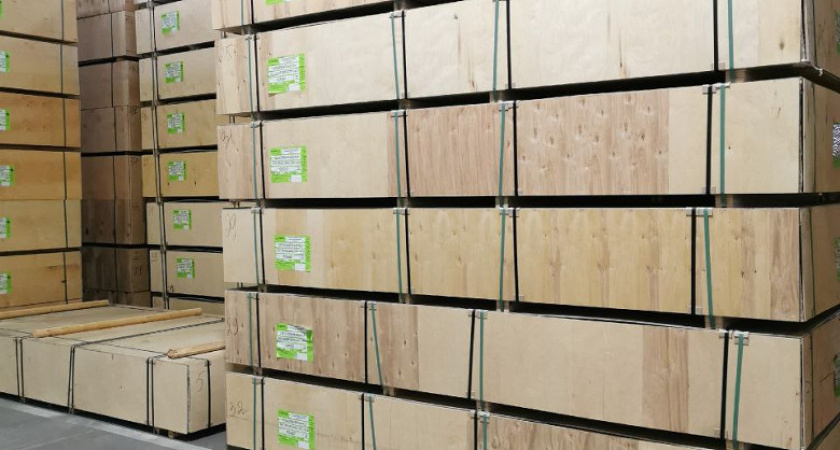 Экспорт древесины из Вологодской области в Индию увеличился на 50%