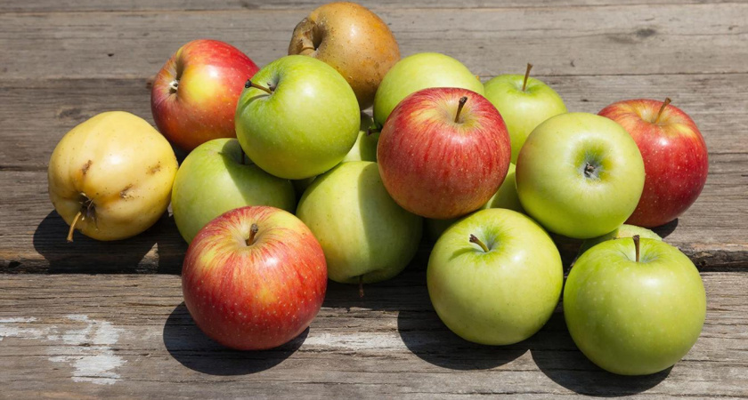 Всегда ела яблоки неправильно и теряла половину пользы: теперь знаю правильный способ