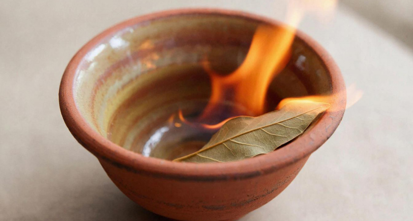 Дома вечерами всегда поджигаю лавровый лист: старинная уловка предков работает безотказно до сих пор