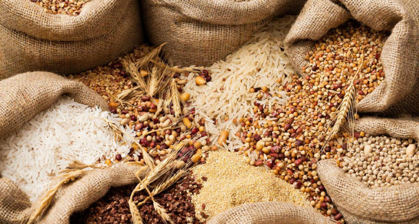 Обычная крупа заменяет целую тонну навоза. Раскидываю зимой по снегу, весной удобрения не покупаю