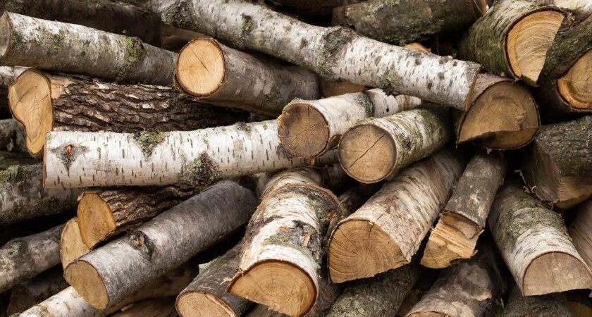 Газ и дрова больше не в почете - отапливаю дом зимой бесплатно: 90% и не знают, что так реально можно