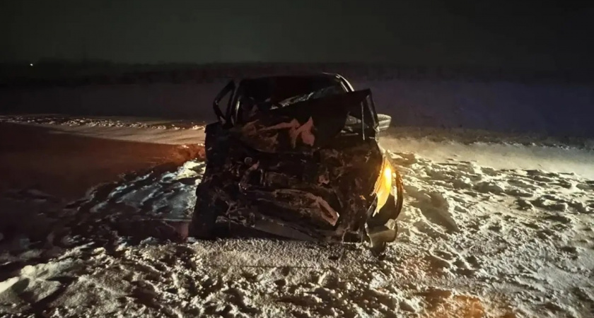 В Вологодском округе бензовоз вылетел на "встречку" и протаранил легковушку