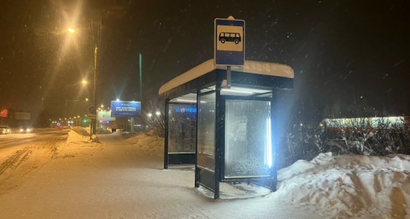 Число пассажироперевозчиков в Вологде сокращается с каждым годом всё больше