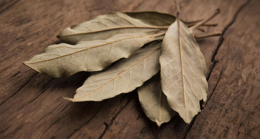 Зачем поджигать лавровый лист дома: древняя хитрость предков, которая работает и сегодня