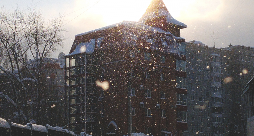 В Вологодской области объявлено штормовое предупреждение: циклон принесет метели и гололед