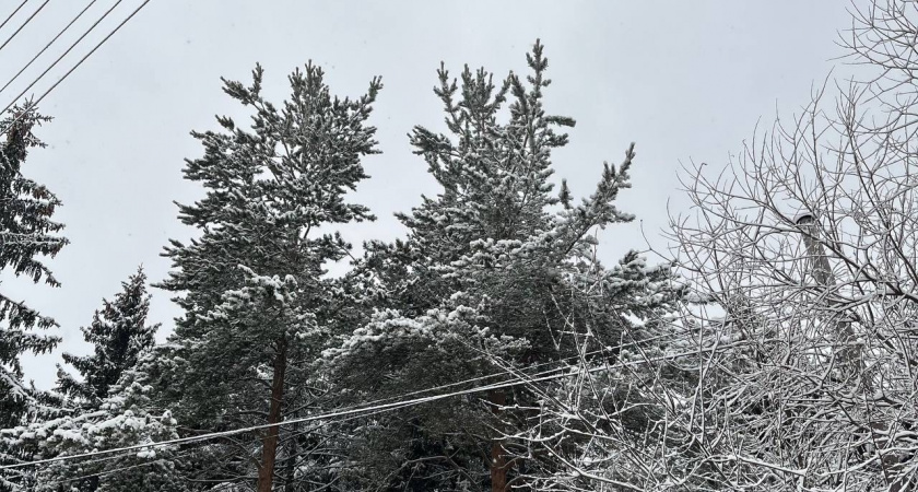 Прогноз погоды в Вологодской области на 10 марта
