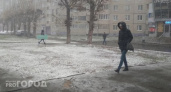 Одевайтесь теплее: на Вологодскую область надвигаются заморозки