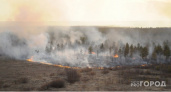 За минувшие сутки в Вологодской области ликвидировано семь лесных пожаров